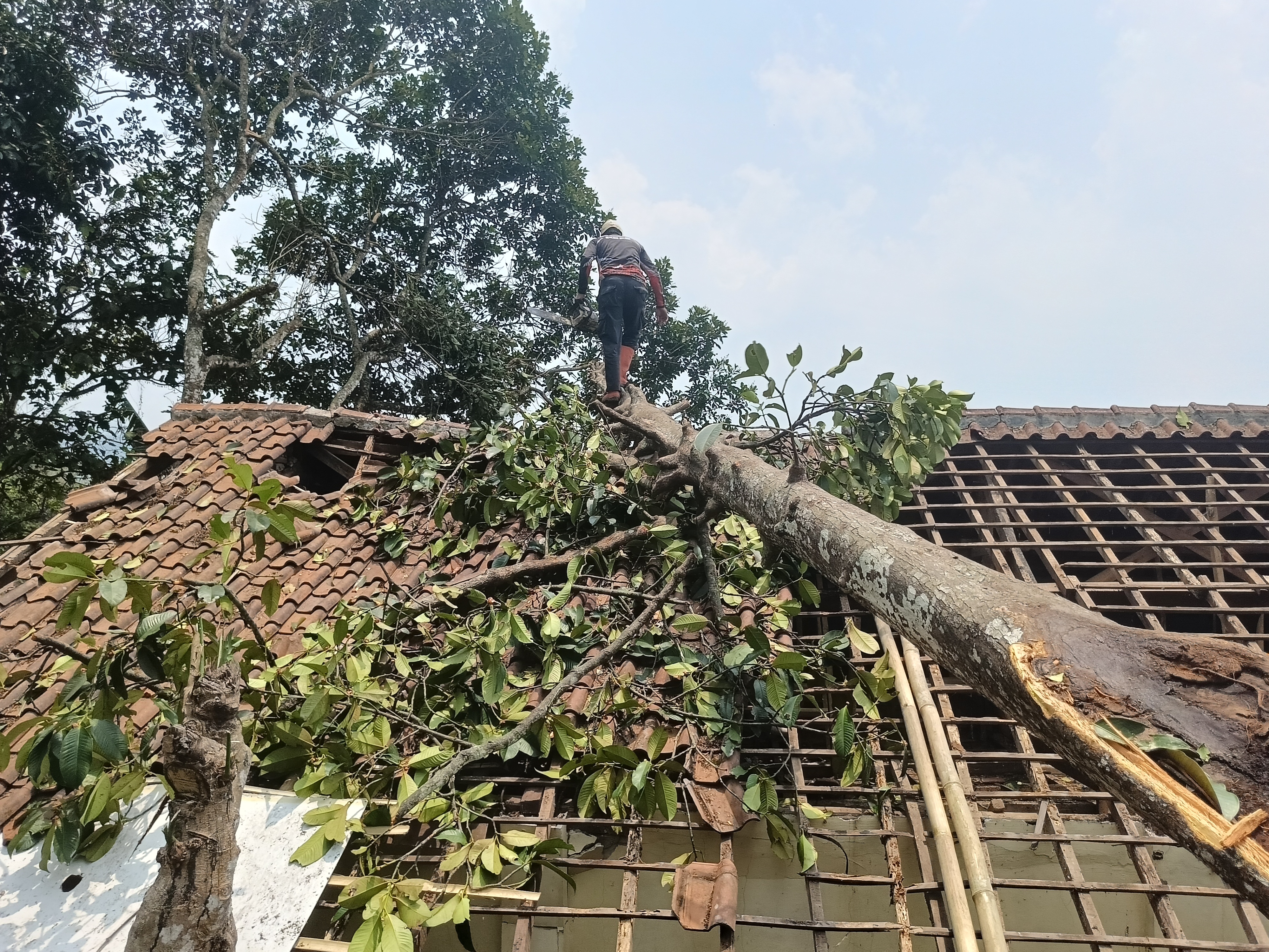 312 Orang Terdampak Angin Puting Beliung di Kabupaten Sukabumi